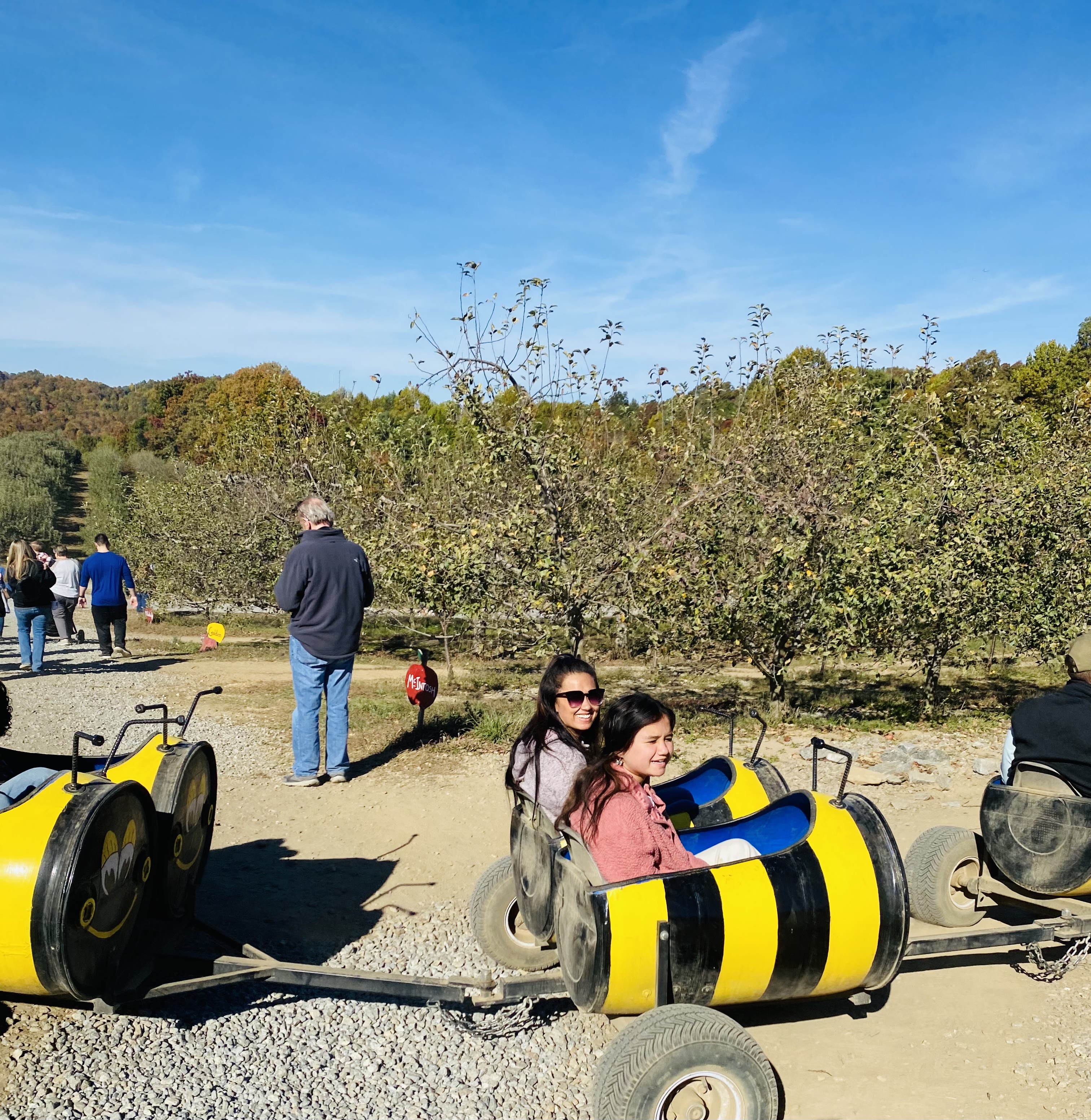Things to do at sky top orchard in flat nc, ride the bee train.